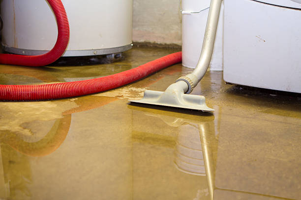 Best Carpet water damage restoration  in Falconer, NY