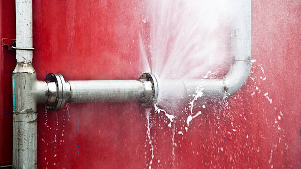 Best Water damage restoration process  in Falconer, NY